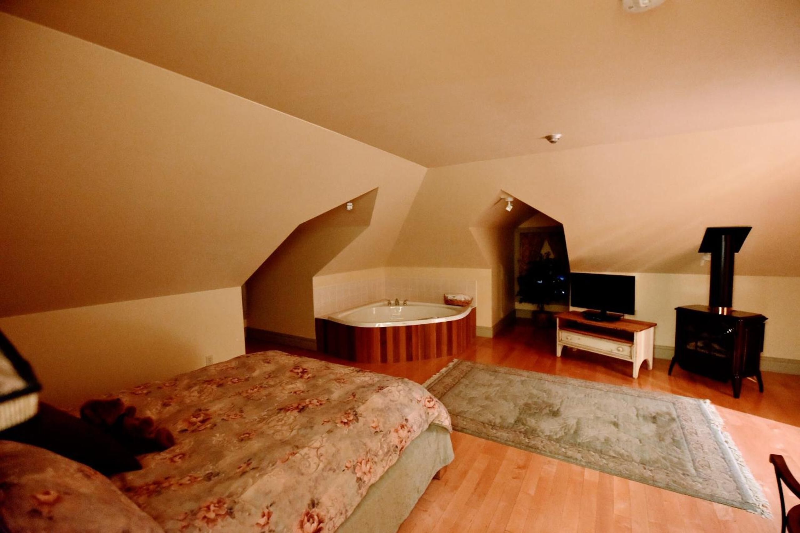 A bedroom with a bed, a bathtub, a television, and a fireplace.