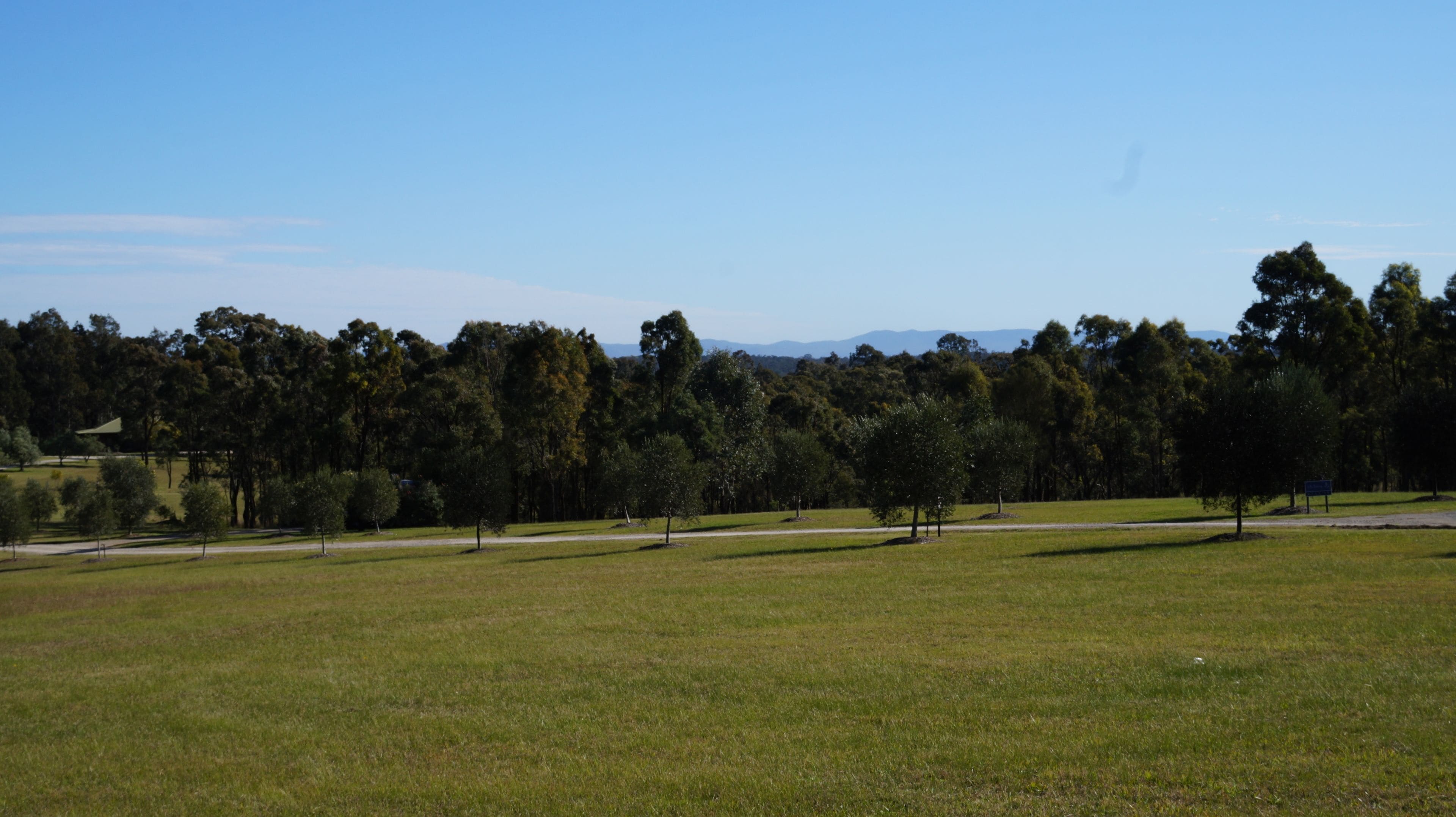 A grassy field with trees and a distant mountain range.