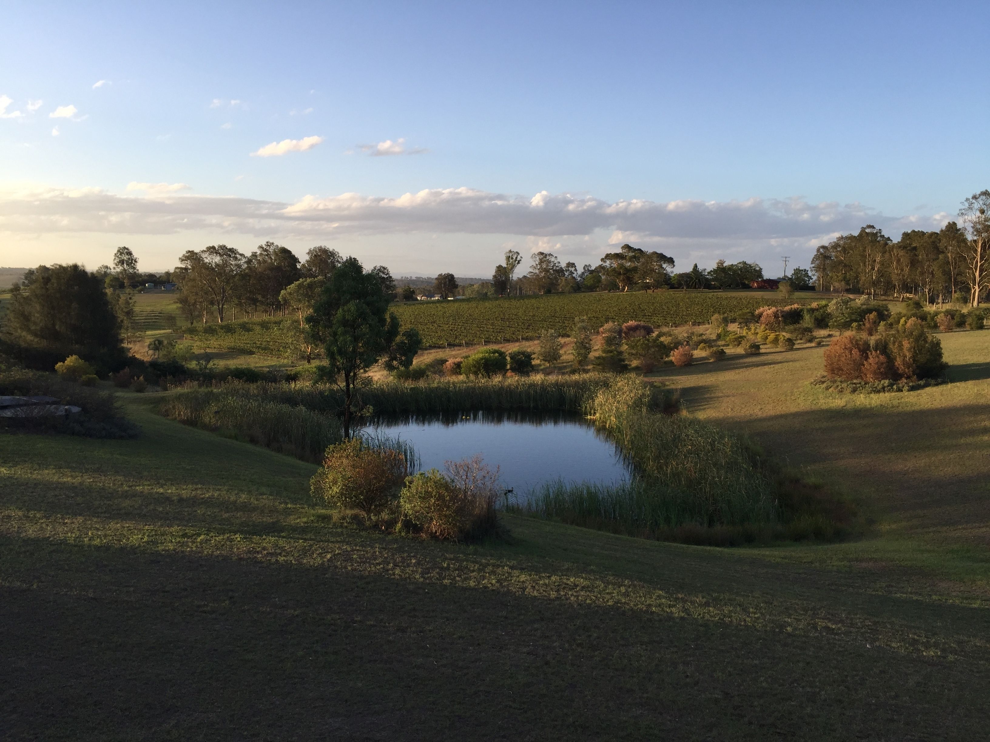 Beltana Villas — image 29