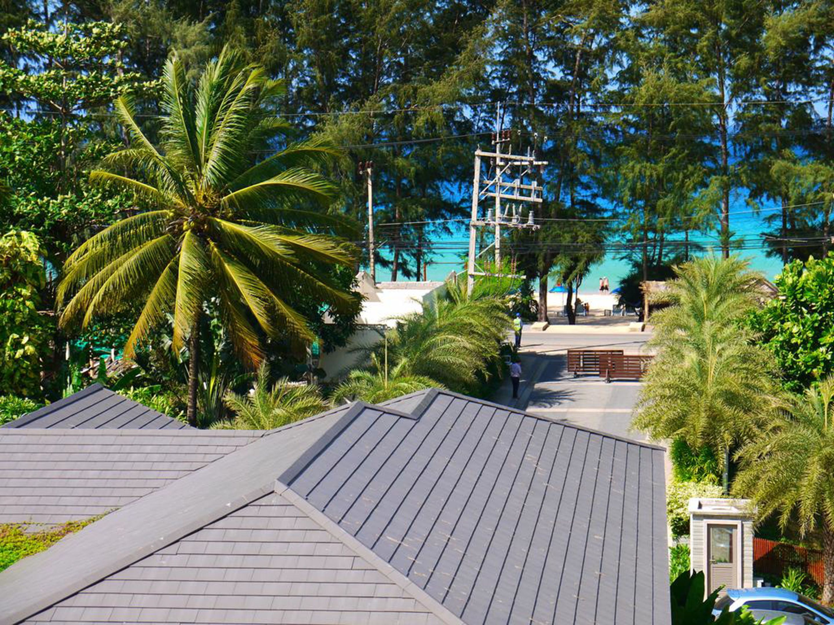 A residential area with a sloped roof, palm trees, and a utility pole.