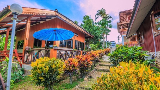 A wooden building with a blue umbrella, surrounded by tropical plants and a stone pathway.