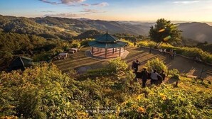 A gazebo with a green roof surrounded by lush greenery and hills in the background.