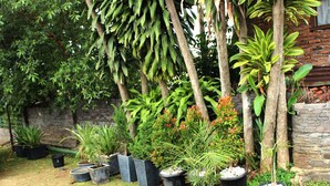A garden with various potted plants and trees, a stone wall, and a brick building in the background. - Setra Priangan Guesthouse (Bandung)