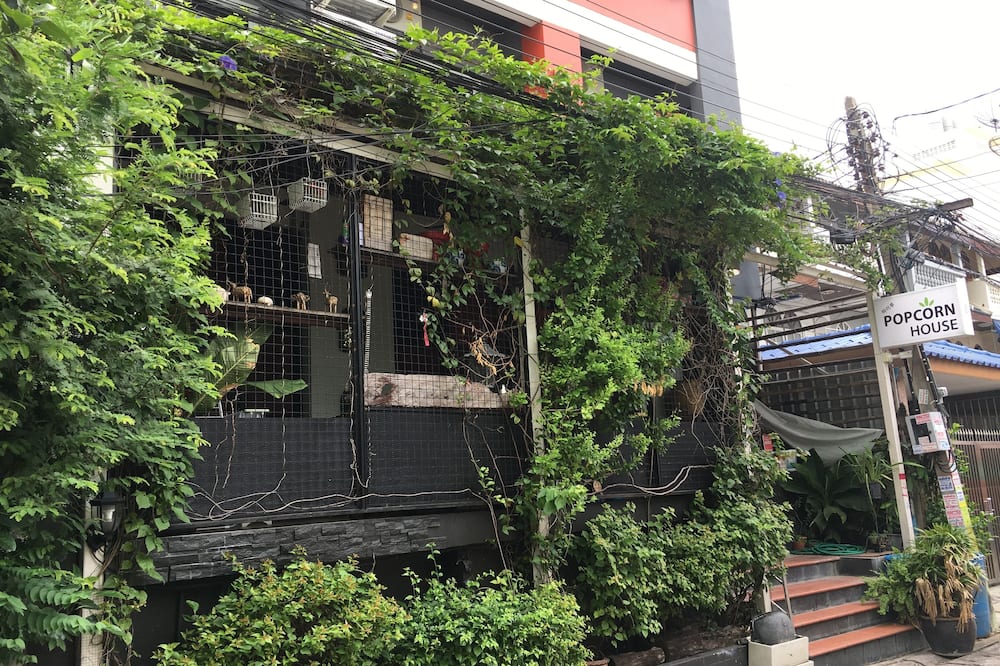 Popcorn House Ratchada