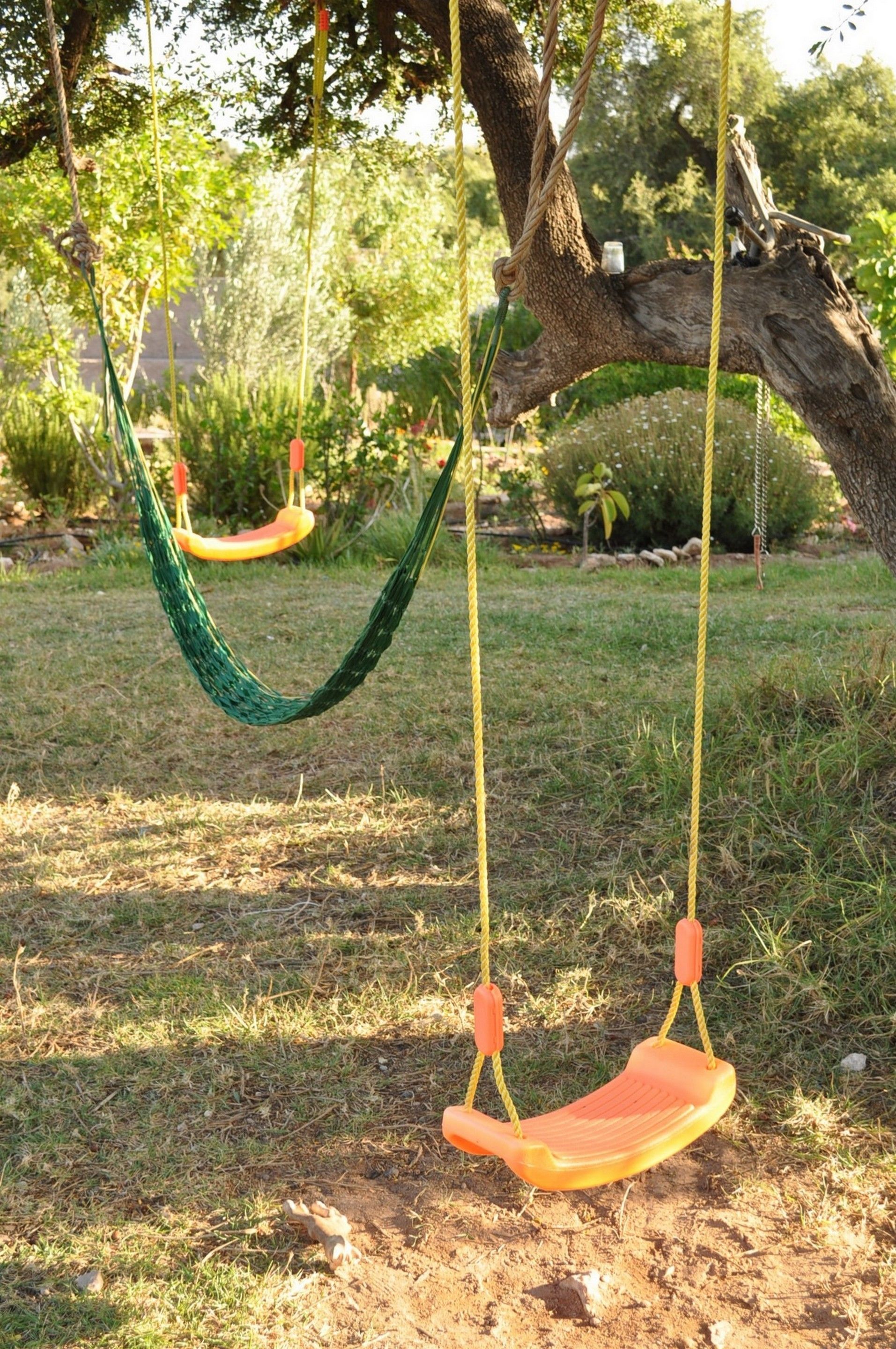 Una hamaca colgada de un árbol en un área con césped.
