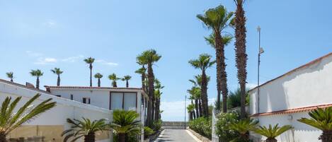 A narrow pathway lined with tall palm trees and potted plants, leading to a building with a white facade and red-tiled roof.