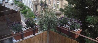 1 bedroom apartment in prime location