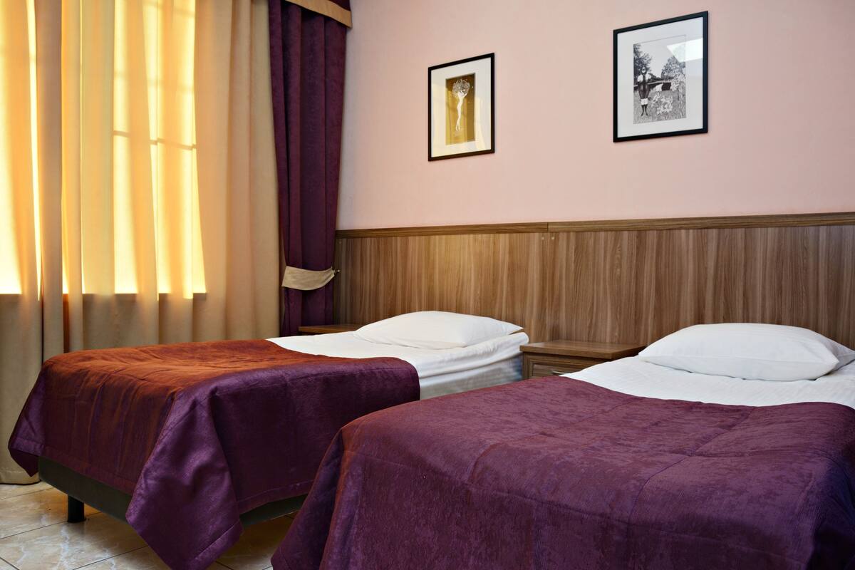 Standard Twin Room | Desk, iron/ironing board, rollaway beds, free WiFi