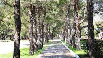 Parco della struttura
