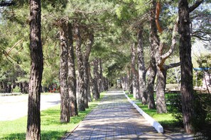 Terrein van de accommodatie