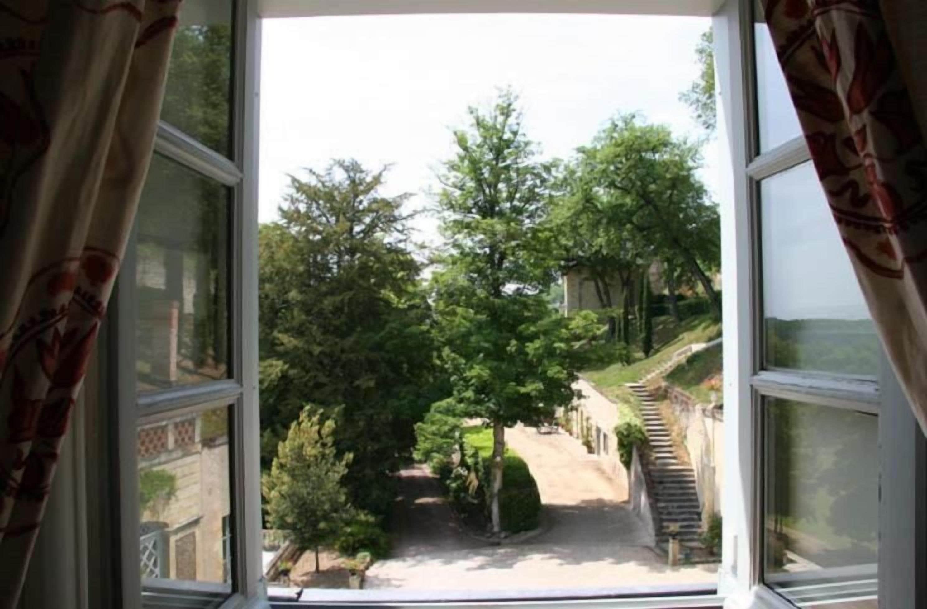 Foto - Domaine Des Bidaudieres