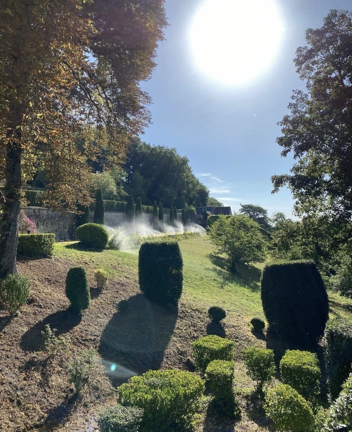 A garden with neatly trimmed hedges and a fountain.