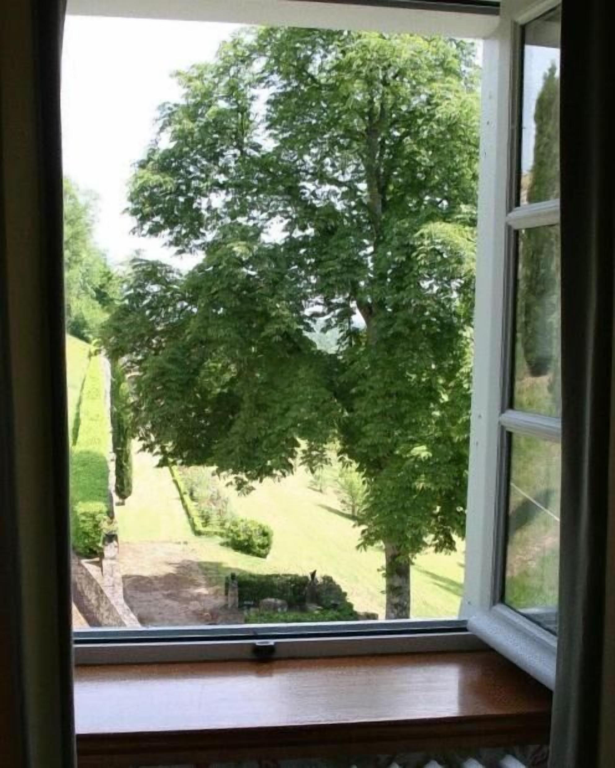 Foto - Domaine Des Bidaudieres