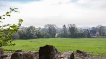 A rural landscape with a field, trees, and a house in the background.