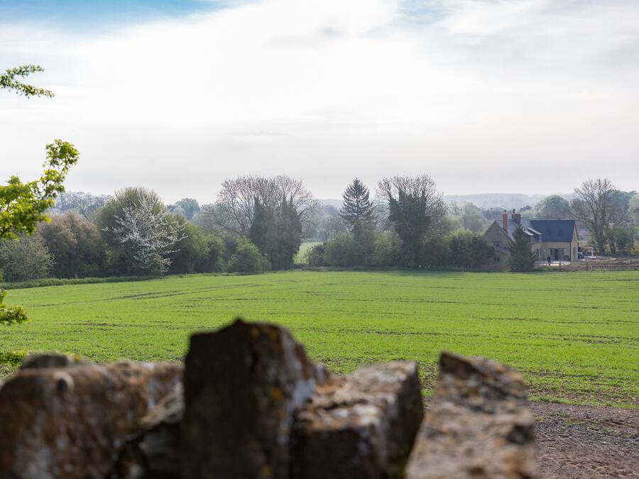 A rural landscape with a field, trees, and a house in the background.