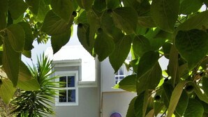 Terrace/patio - TC Villas (Cape Town)