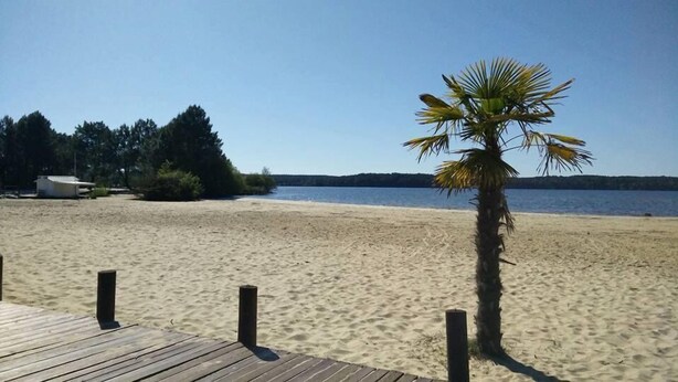 A sandy beach with a palm tree and a wooden dock. - Rêve en famille (Gastes)