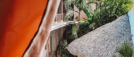 Quang cảnh từ phòng