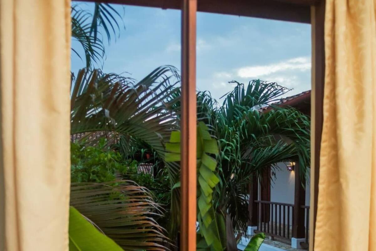 A window with a view of a balcony and tropical plants.