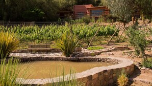 Un vigneto con una fontana in pietra, una panchina di legno e un edificio rosso sullo sfondo.