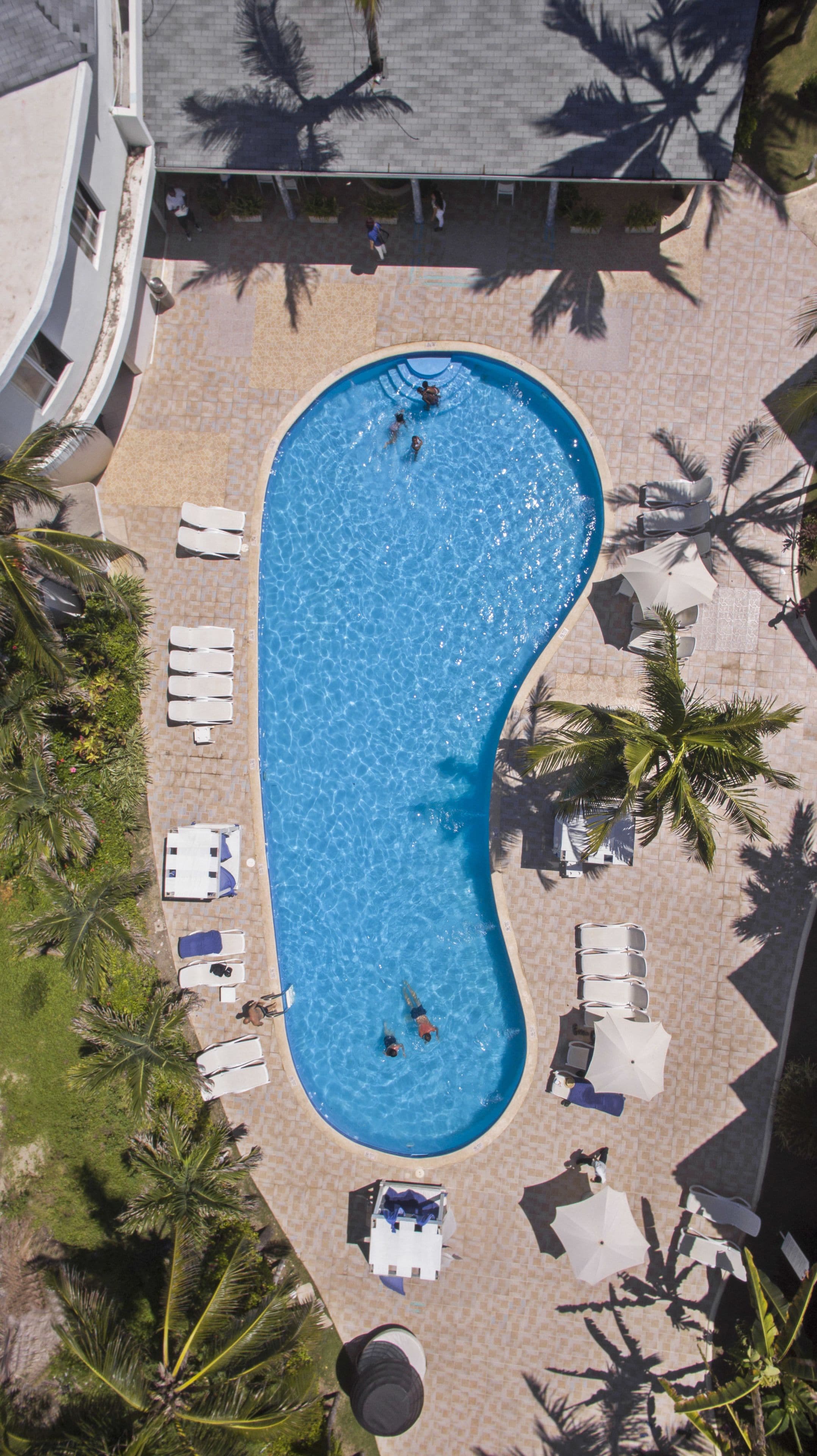 outdoor pool, pool loungers