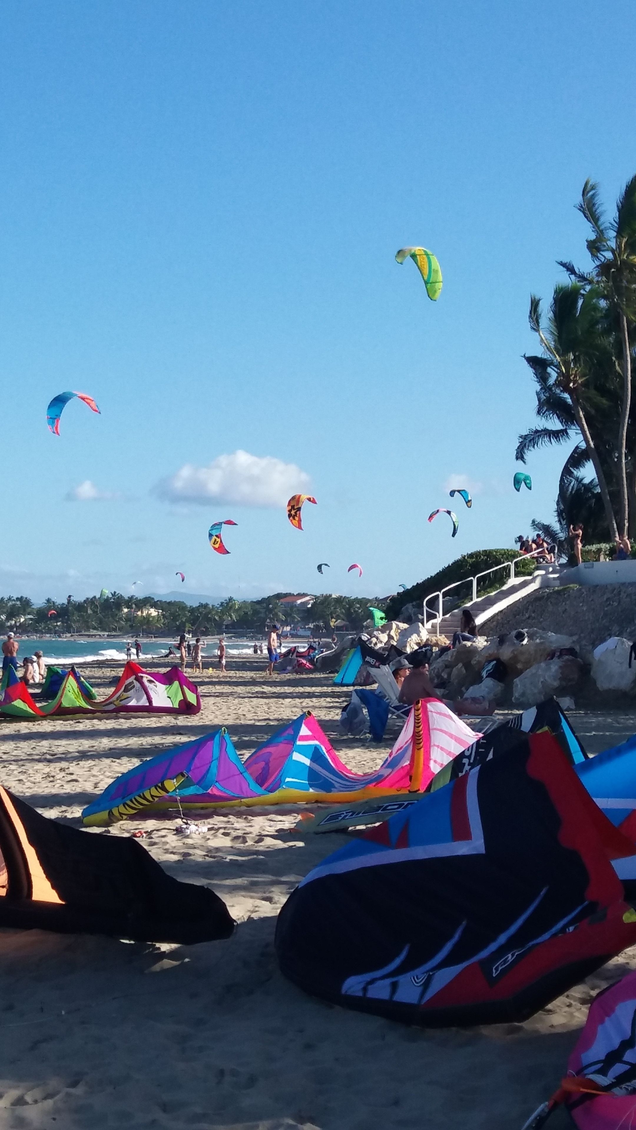 A beach with colorful kites and tents, a clear sky, and palm trees.