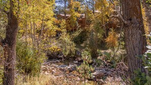 A lodge surrounded by a forest with a stream. - Riverwood on Fall River (Estes Park)