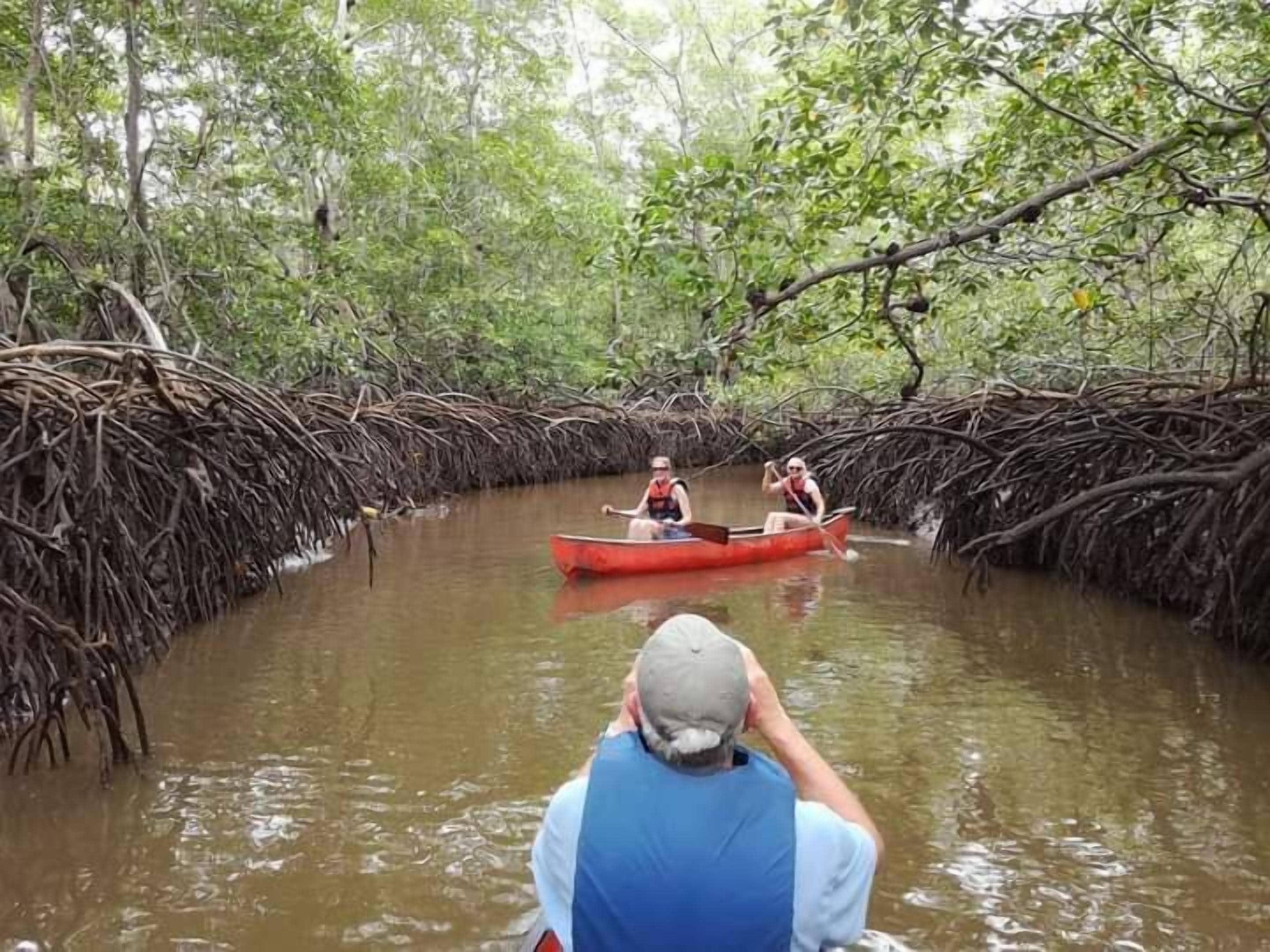 A man in a boat with two passengers, surrounded by mangrove trees.