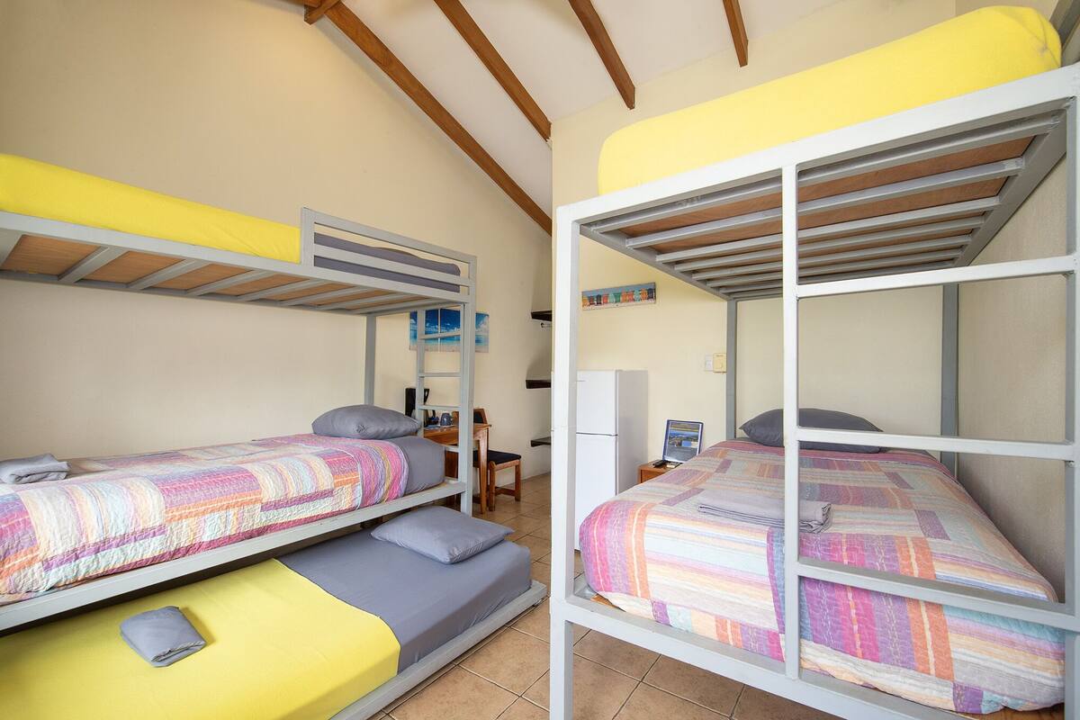 A dormitory room with bunk beds, a desk, and a refrigerator.
