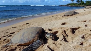 Rutas ecológicas