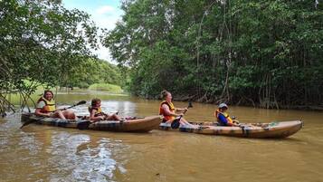 Four canoes on a river surrounded by dense forest.