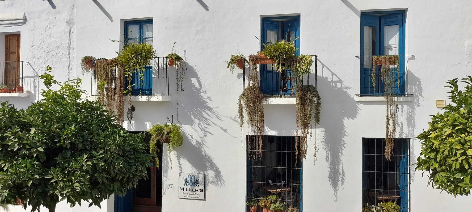 Un edificio blanco con contraventanas azules y numerosas ventanas, algunas con plantas colgantes.