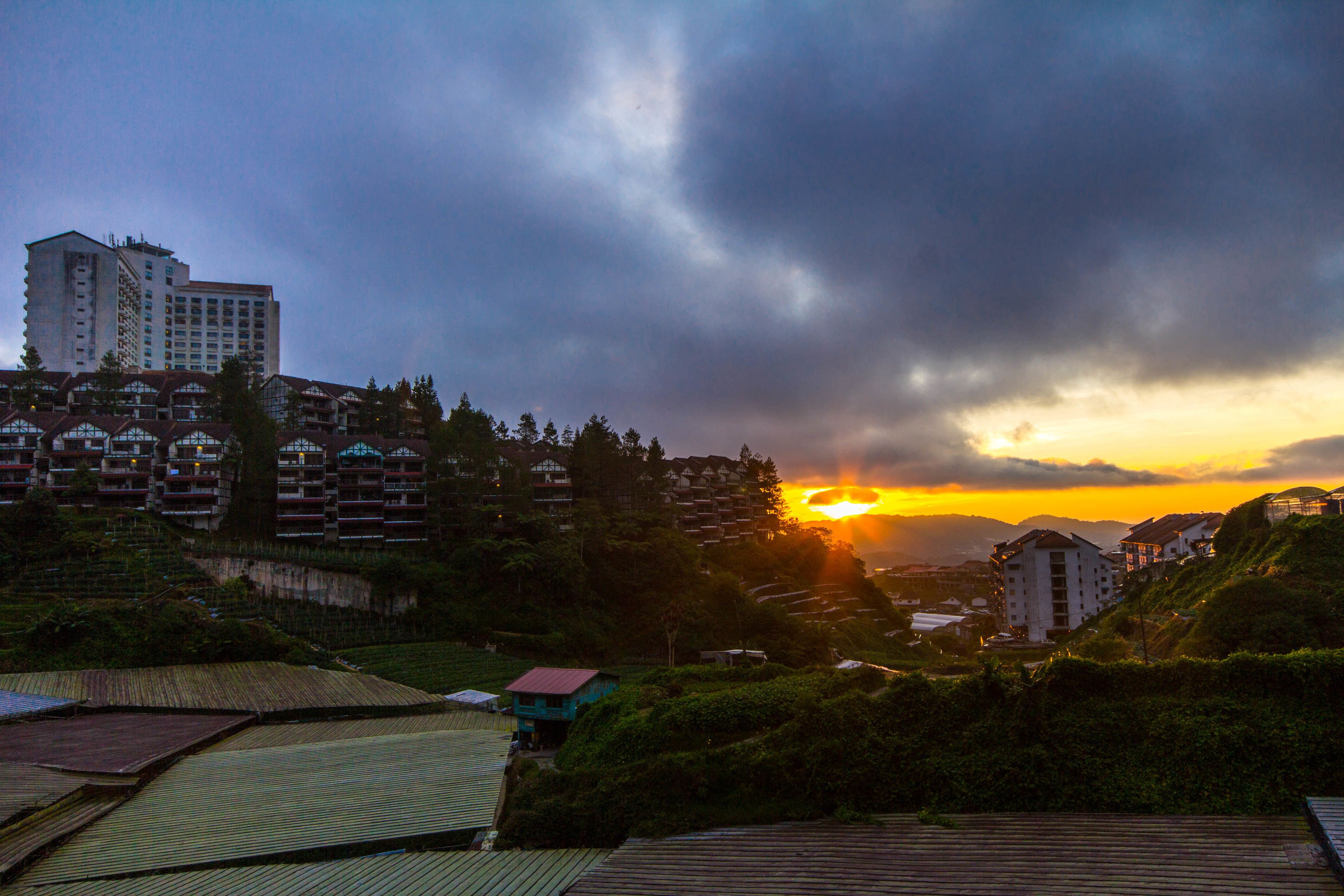 A residential area with multiple buildings, including a tall hotel and several smaller structures.