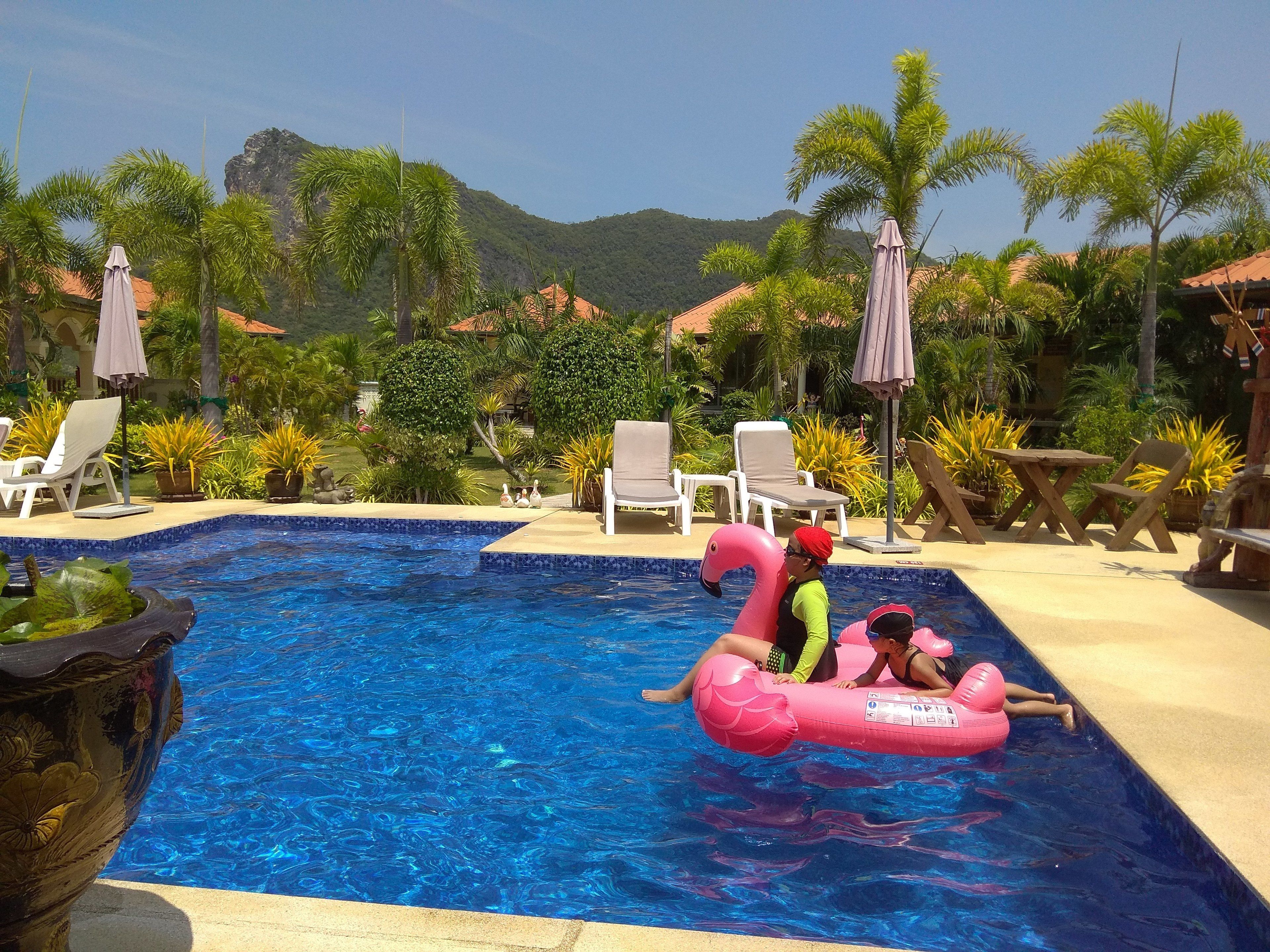 Piscina con sillas de descanso y sombrillas, rodeada de vegetación y montañas al fondo.