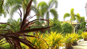 A garden with various potted plants and a tiled pathway. - Stella Resort (Sam Roi Yot)