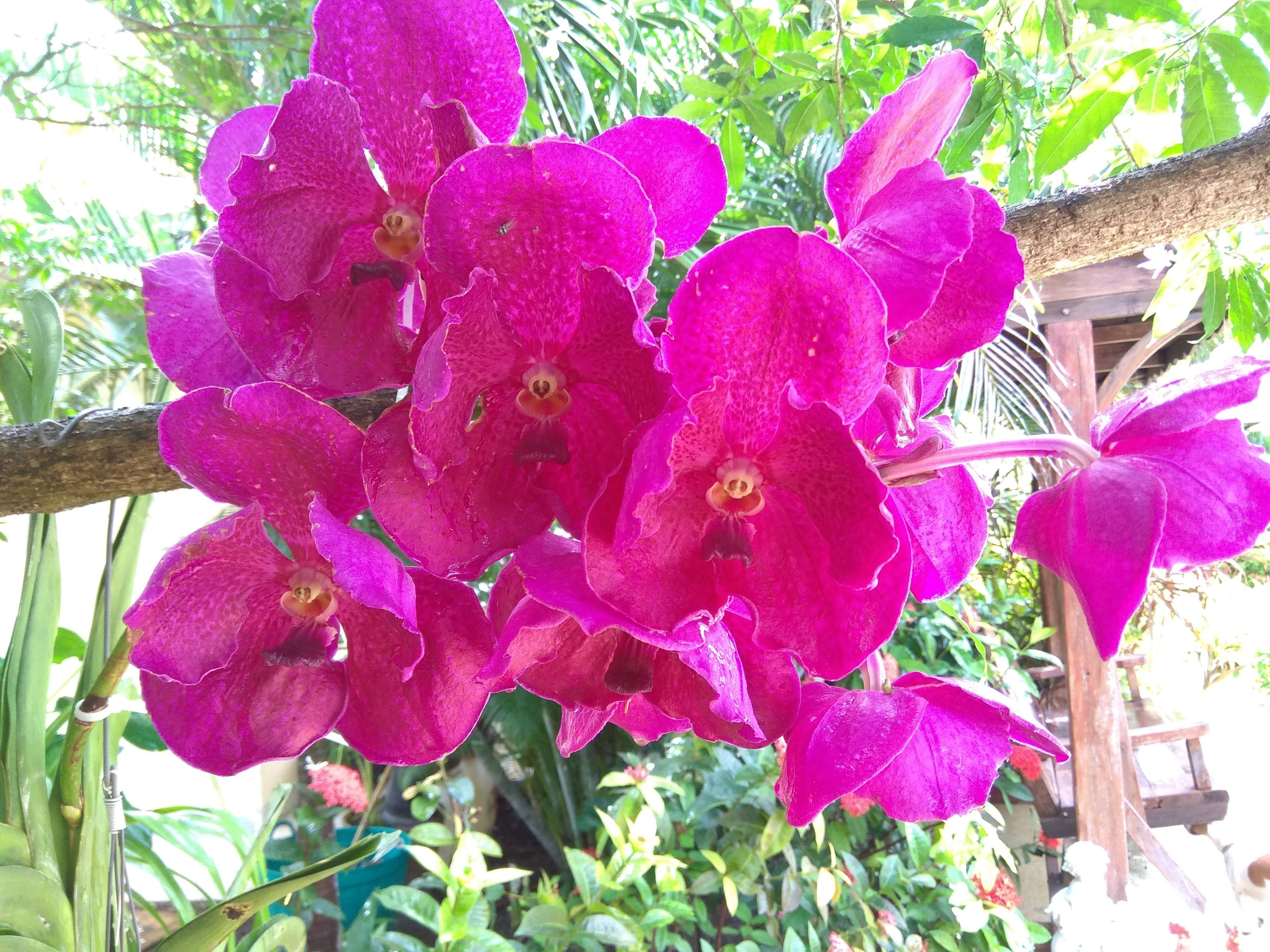 bungalow | terrace/patio