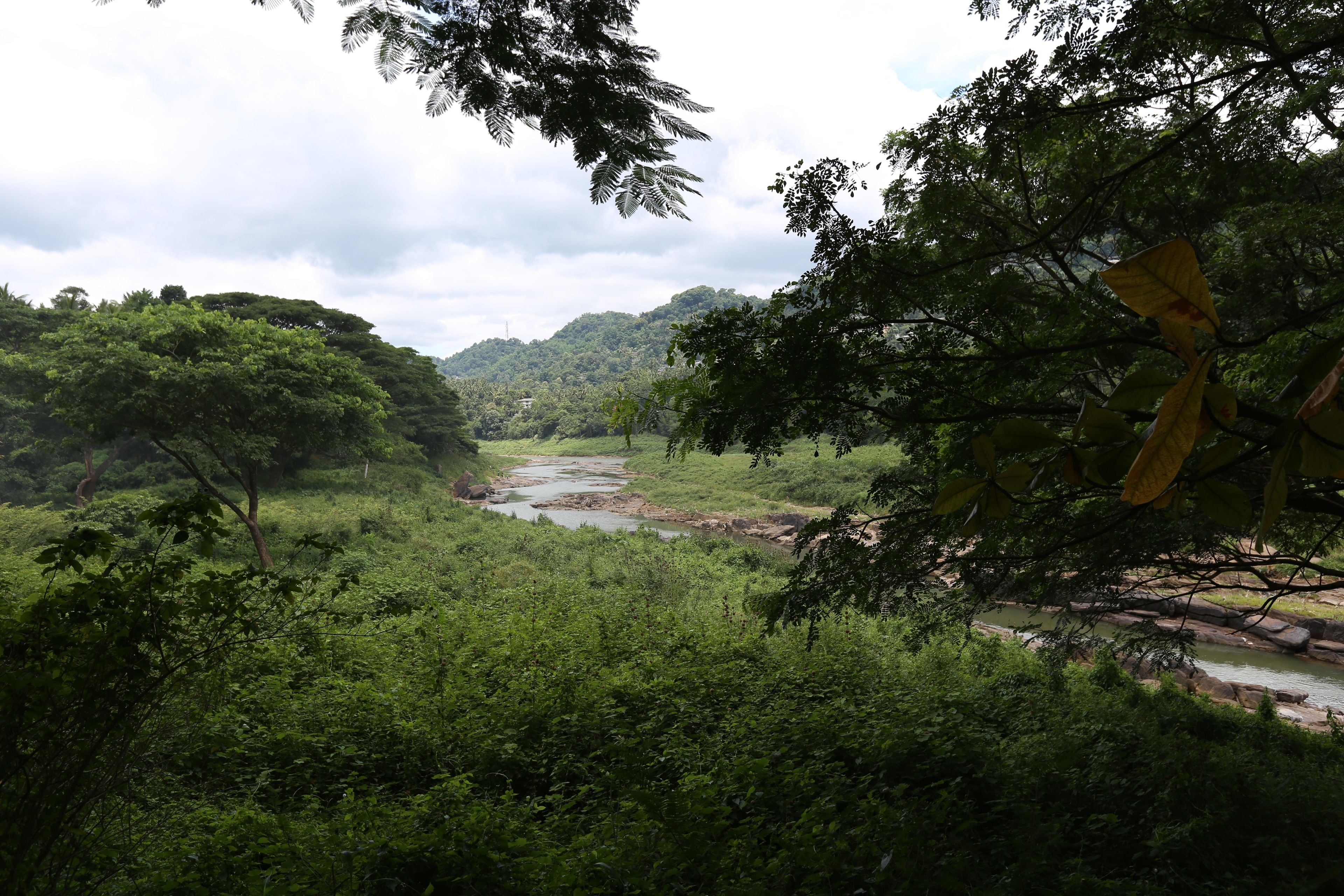 A lush green landscape with a river, dense foliage, and a mountainous backdrop.