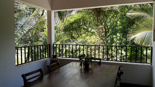 A balcony with a wooden table, chairs, and potted plants, overlooking a lush garden with various trees and plants.