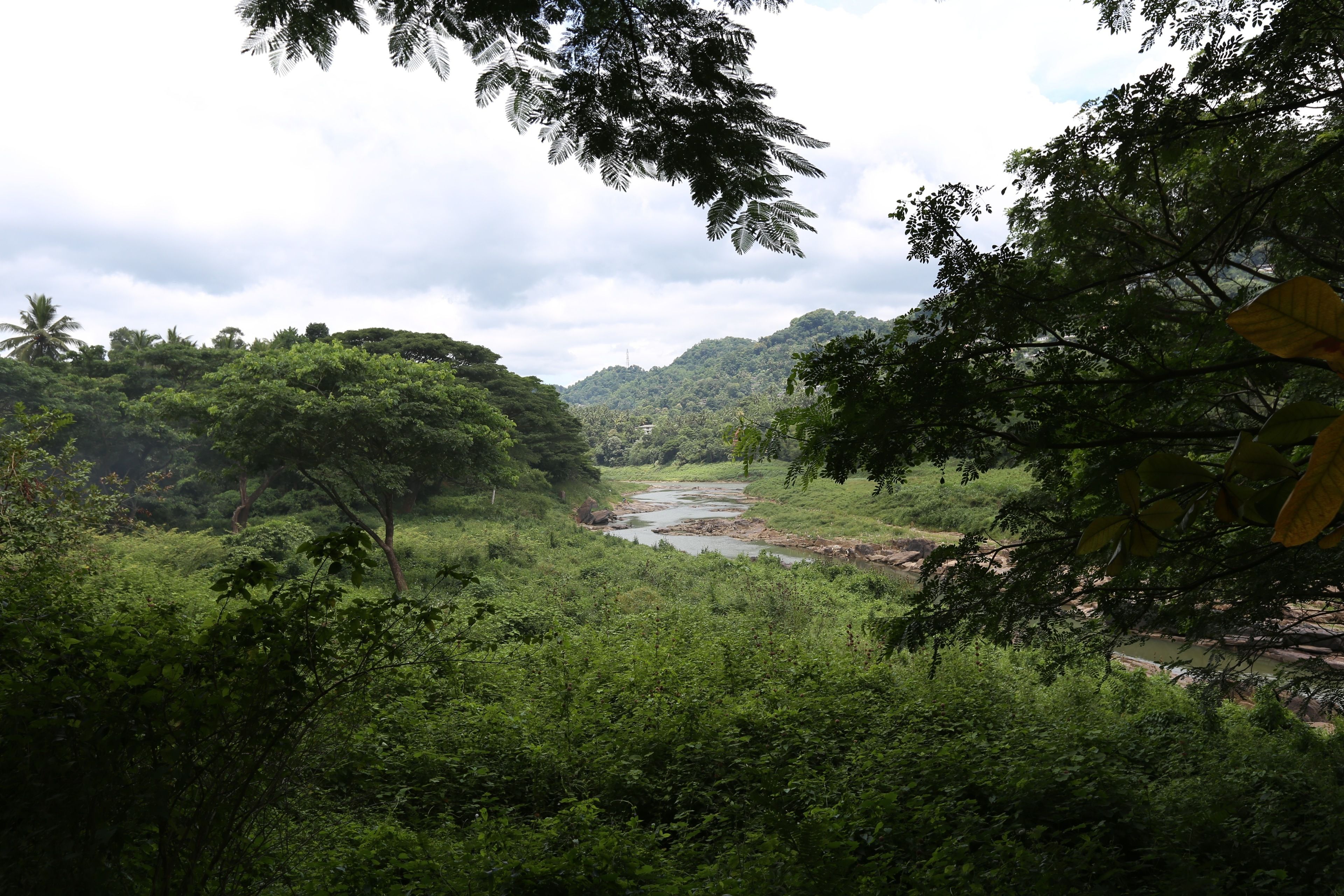 Un paisaje exuberante y verde con un río que lo atraviesa.