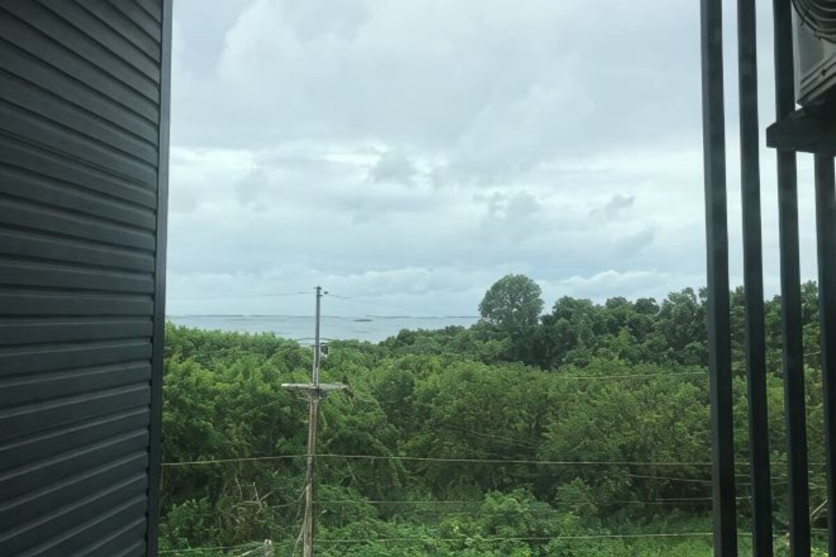 A view from a window with a metal railing, a power line, and dense greenery in the background.