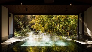 Une zone de sources chaudes offrant une vue sur une forêt.