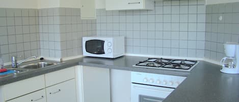 Full-sized fridge, microwave, oven, stovetop