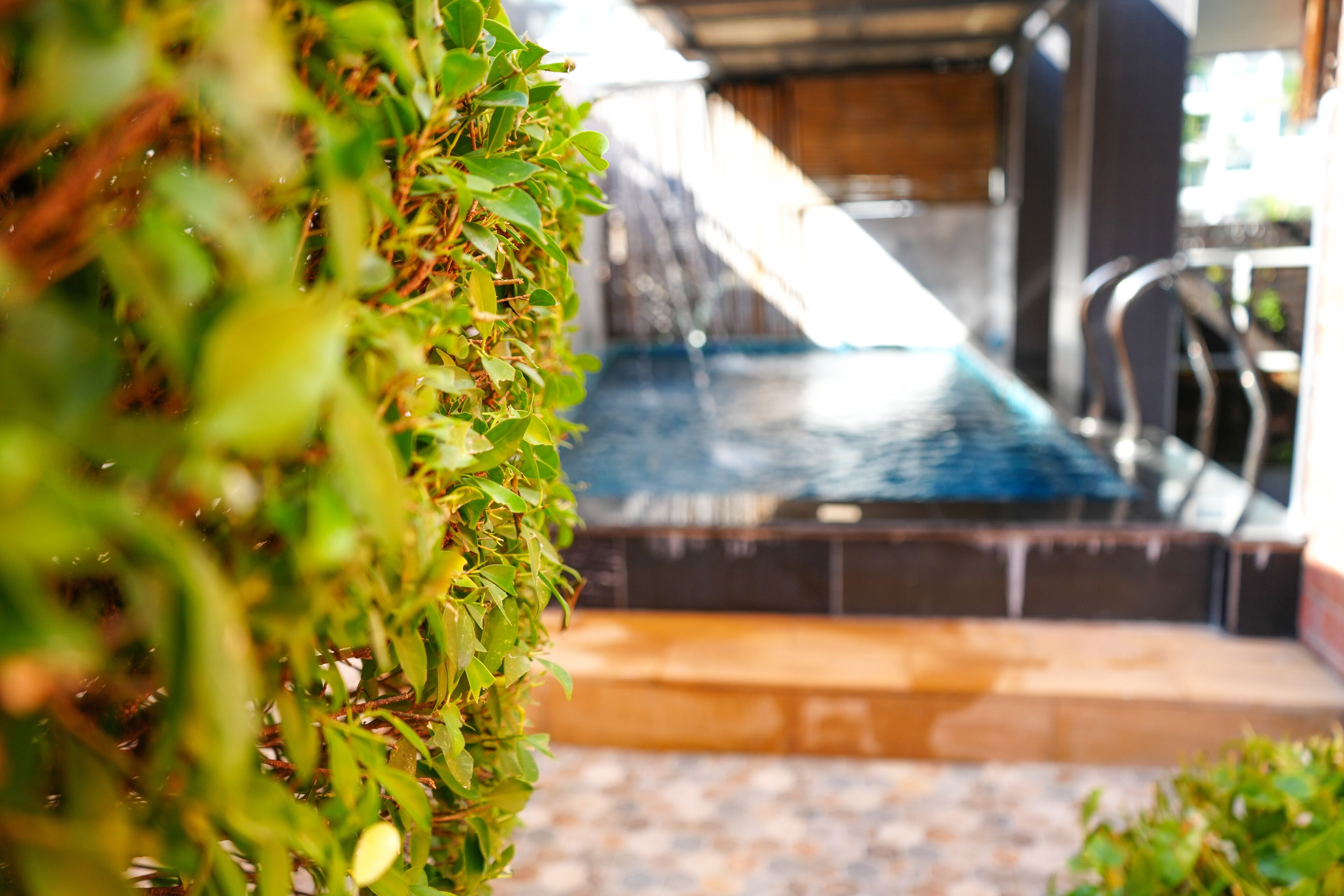 A pool area with steps leading down to the water, surrounded by greenery.