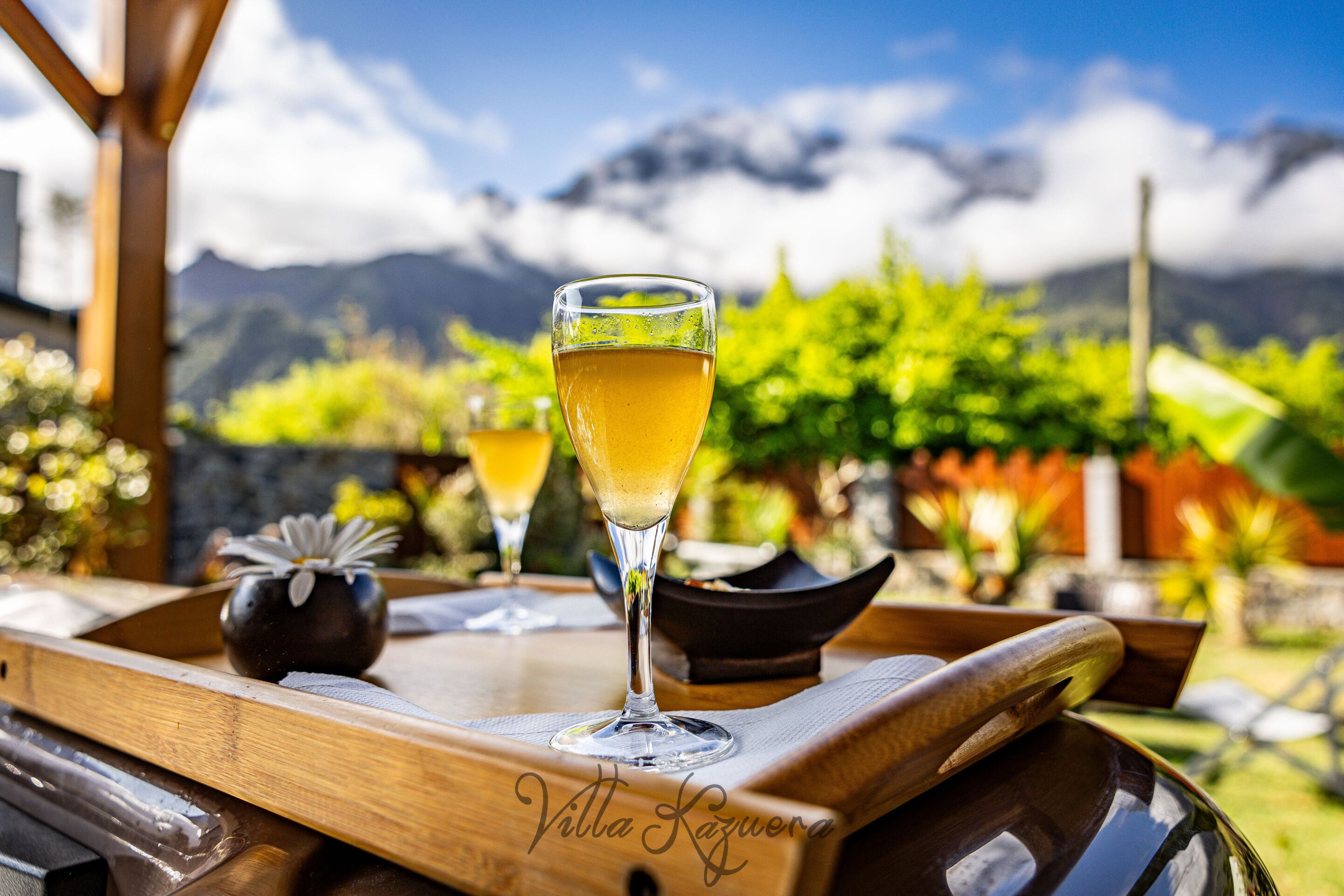 A wooden tray with two glasses of a yellow beverage, a small vase with a flower, and a wooden bowl, set against a backdrop of mountains and greenery.