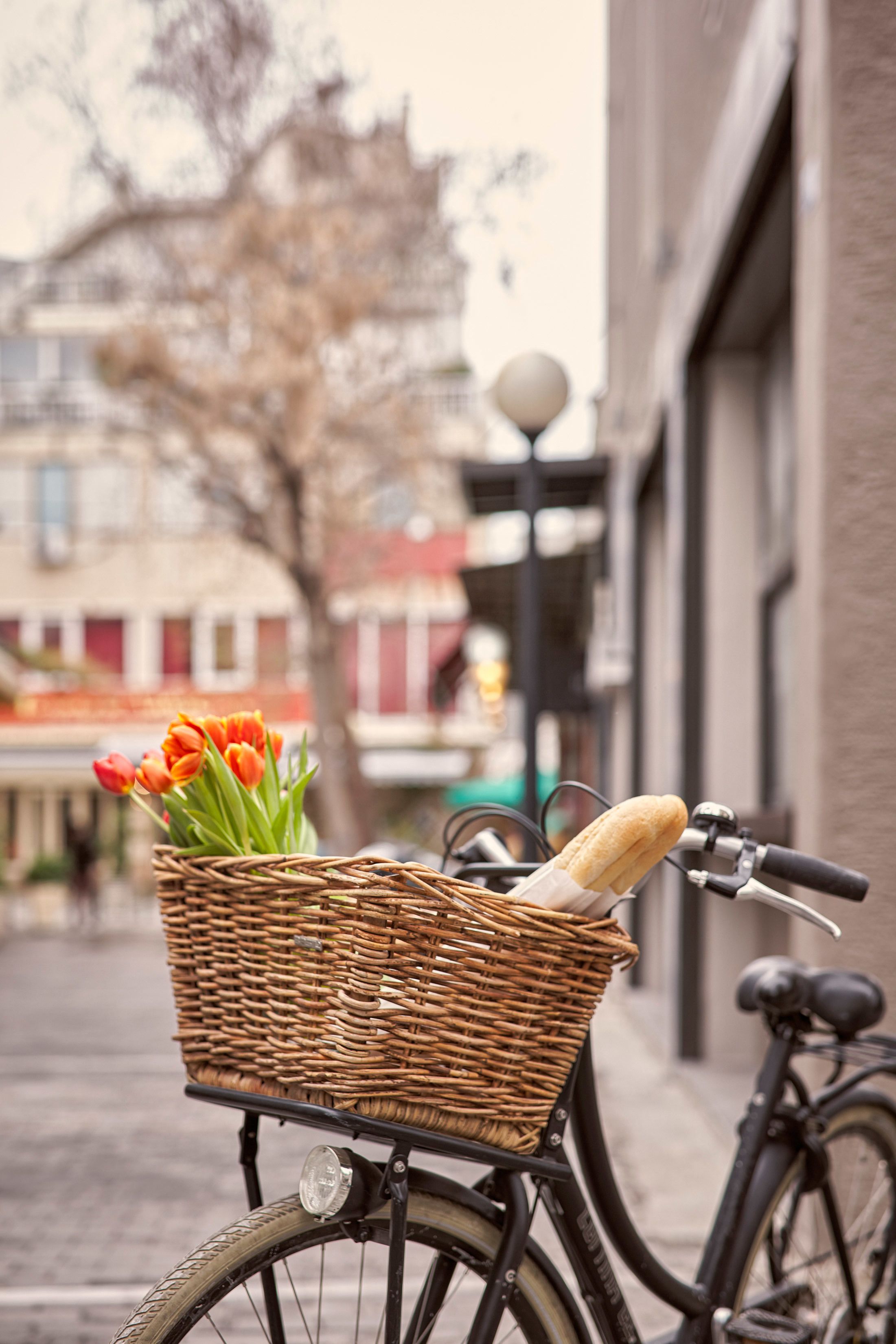 Foto - 18 Micon Str.