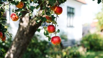 บริเวณภายนอก