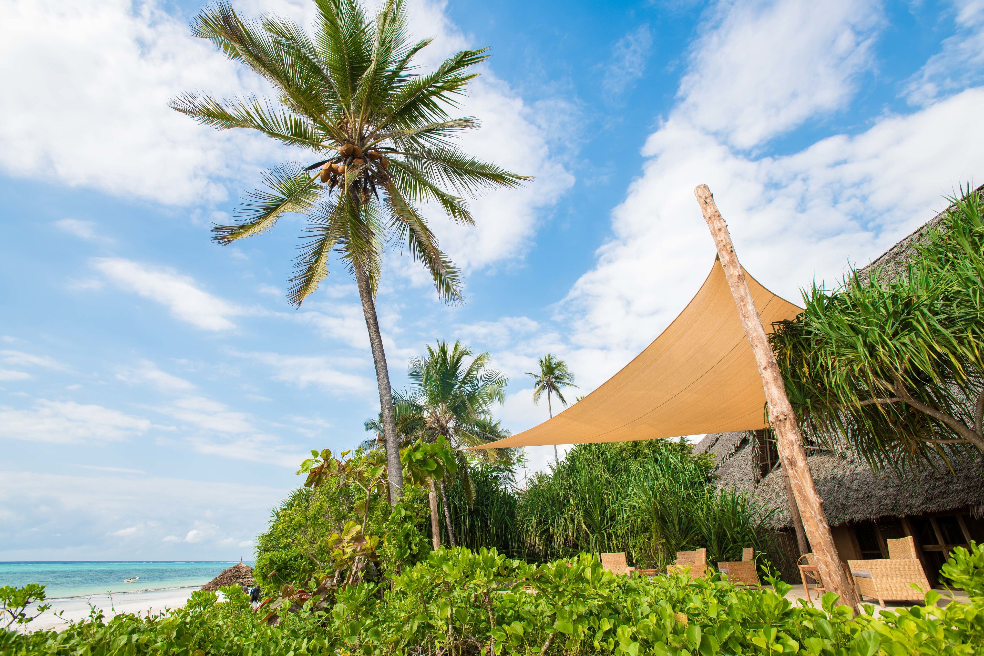 A beach with a thatched-roof hut, palm trees, and lounge chairs.