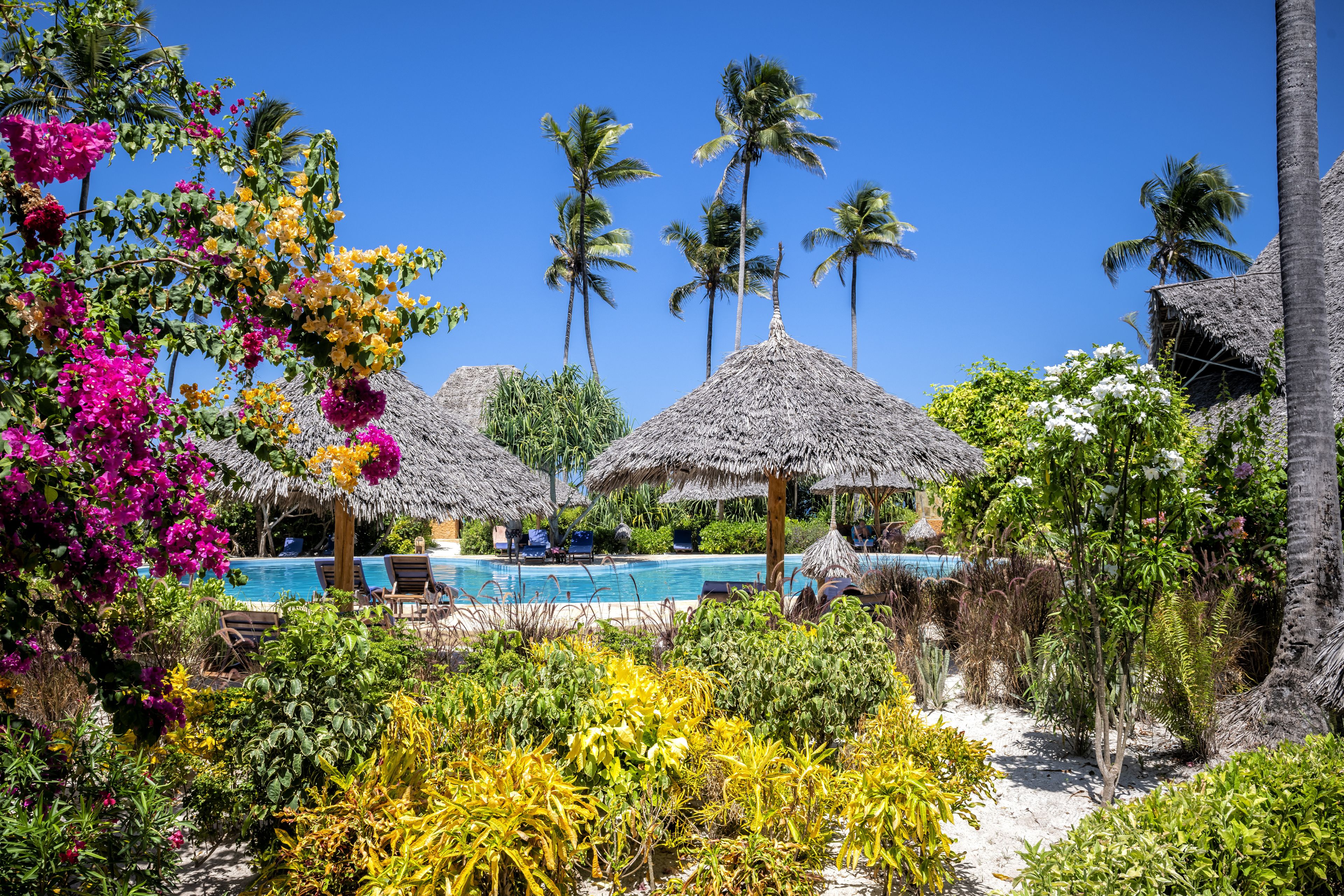 Außenpool, Sonnenschirme, Liegestühle