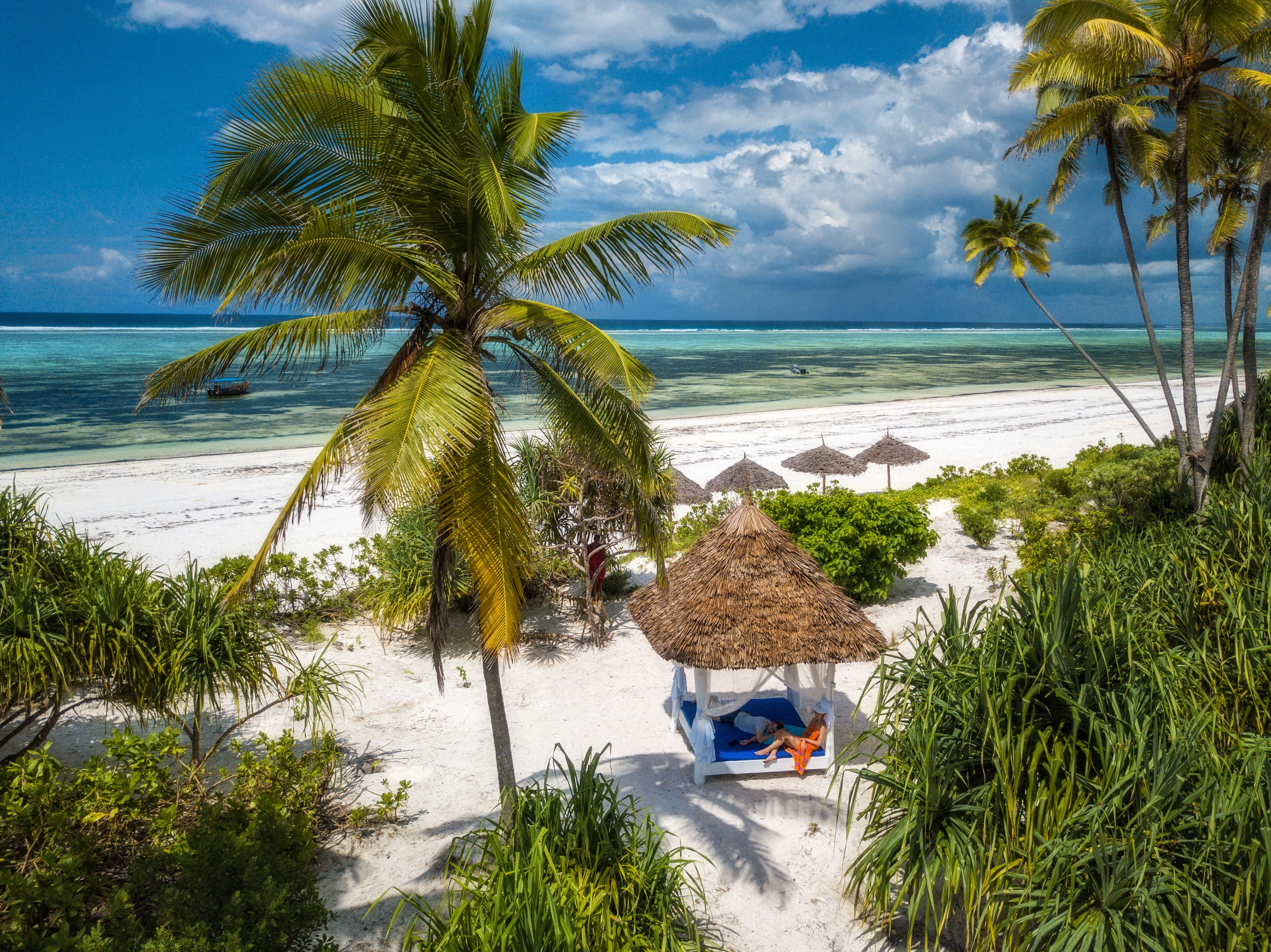 A beach scene with a thatched-roof hut, palm trees, and a clear blue sky.