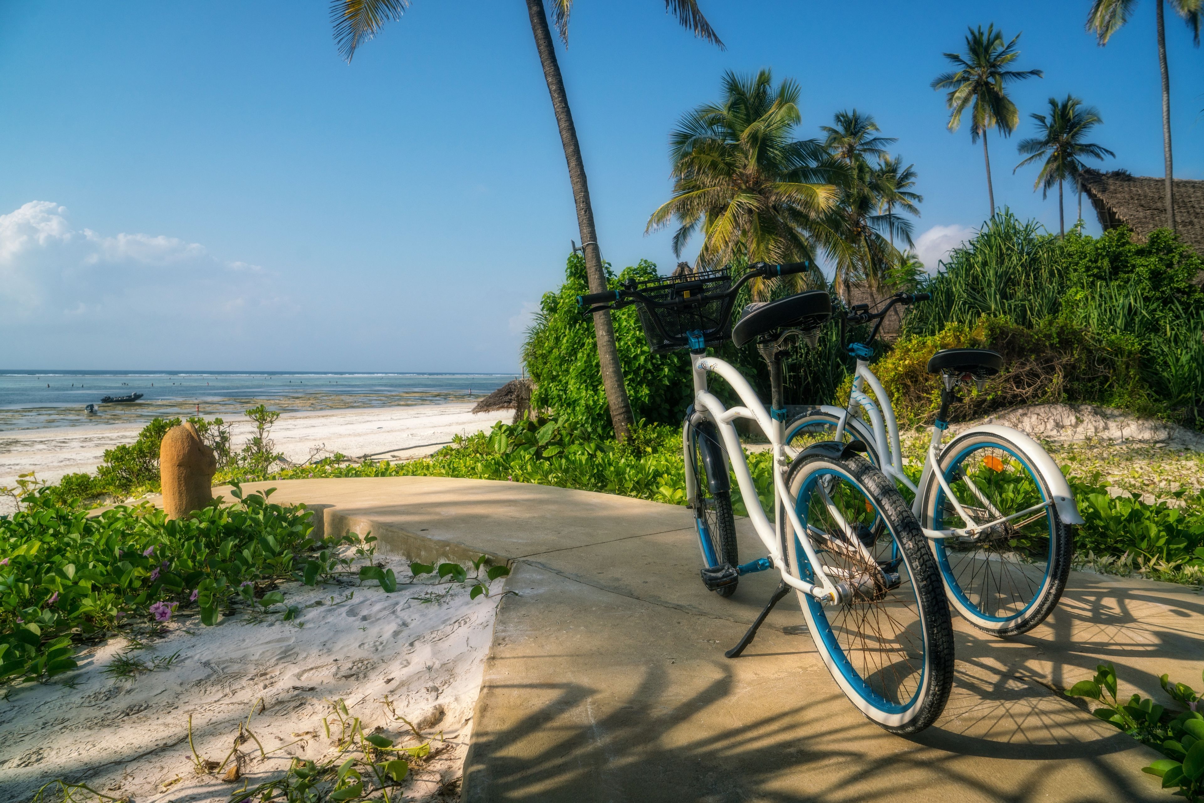 A bicycle parked on a concrete path beside a beach with palm trees and ocean in the background.